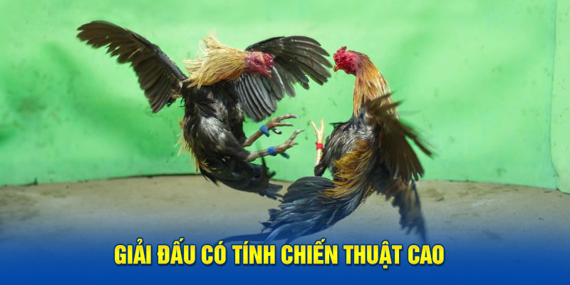 Giải đấu có tính chiến thuật cao