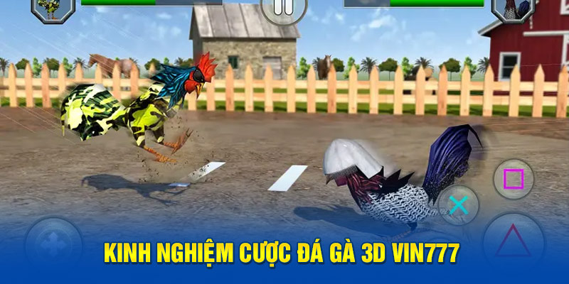 Kinh nghiệm chơi game đá gà Vin777