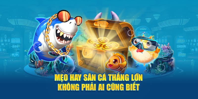 Mẹo hay săn cá thắng lớn không phải ai cũng biết