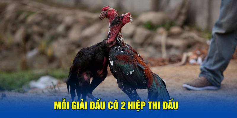 Mỗi giải đấu có 3 hiệp thi đấu