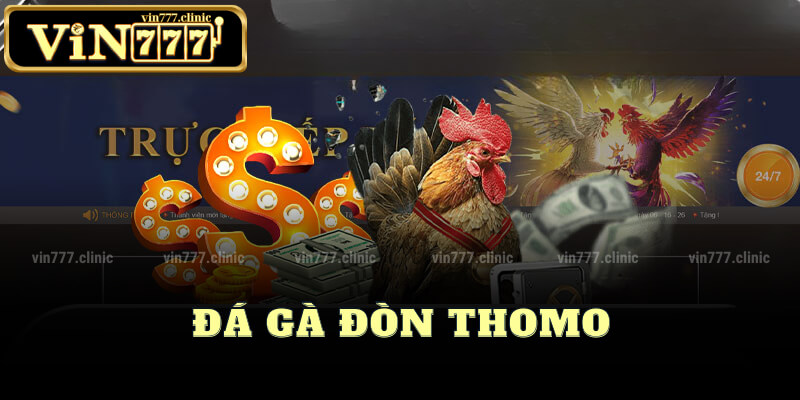 Đá Gà Đòn Thomo Trực Tiếp