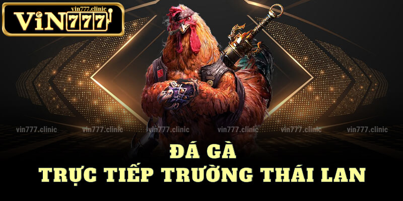 Đá Gà Trường Thái Lan Trực Tiếp