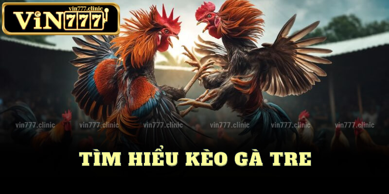 Tìm Hiểu Kèo Gà Tre