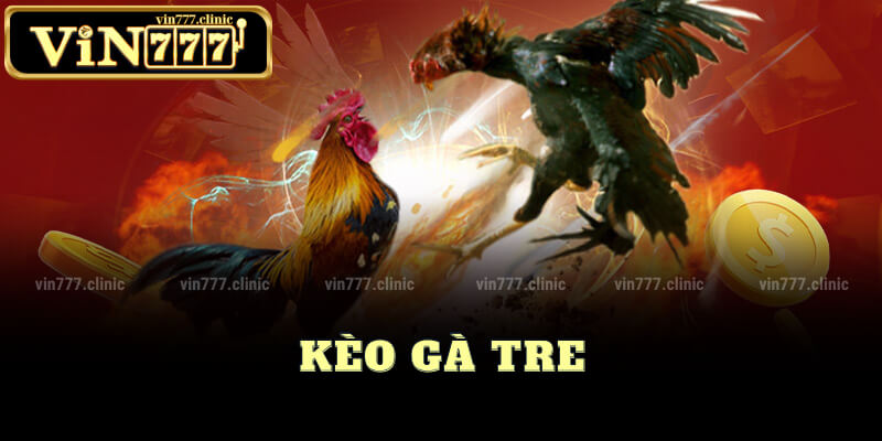 Đặt Kèo Gà Tre Hấp Dẫn